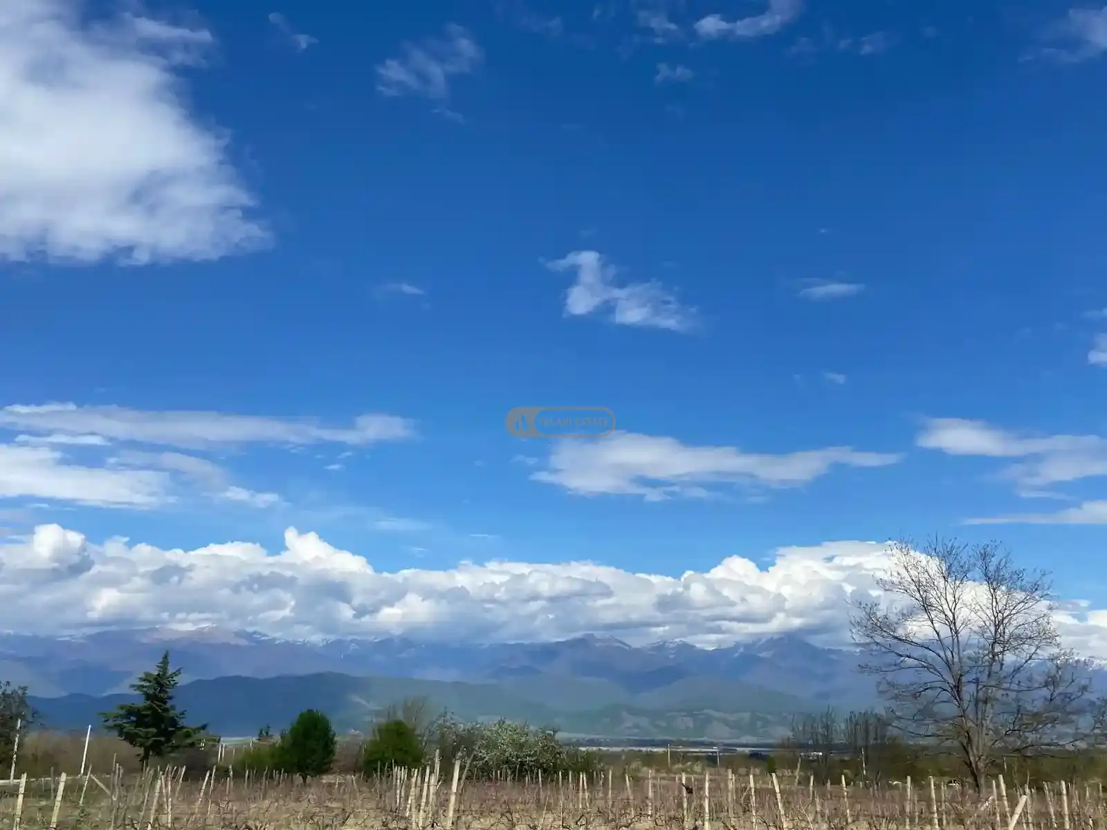 კომერციული მიწის ნაკვეთი კურდღელაურში