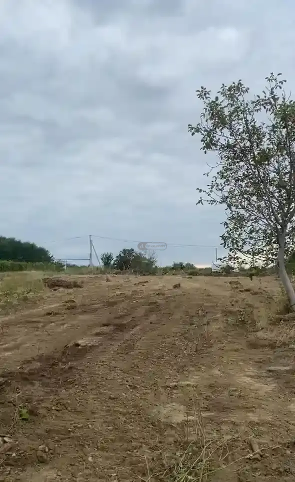 კომერციული მიწის ნაკვეთი კურდღელაურში