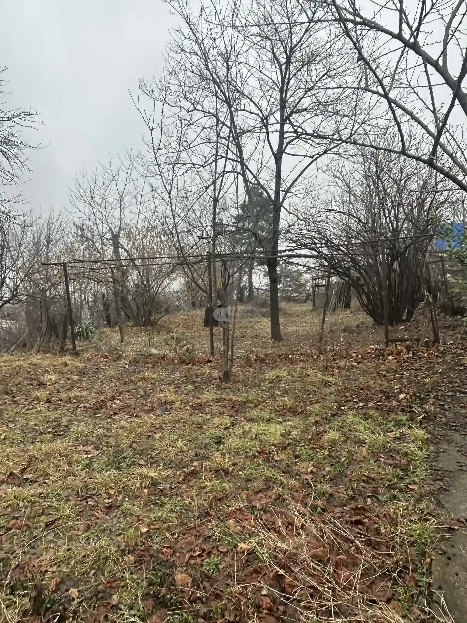 Старый дом с большим двором в Телави