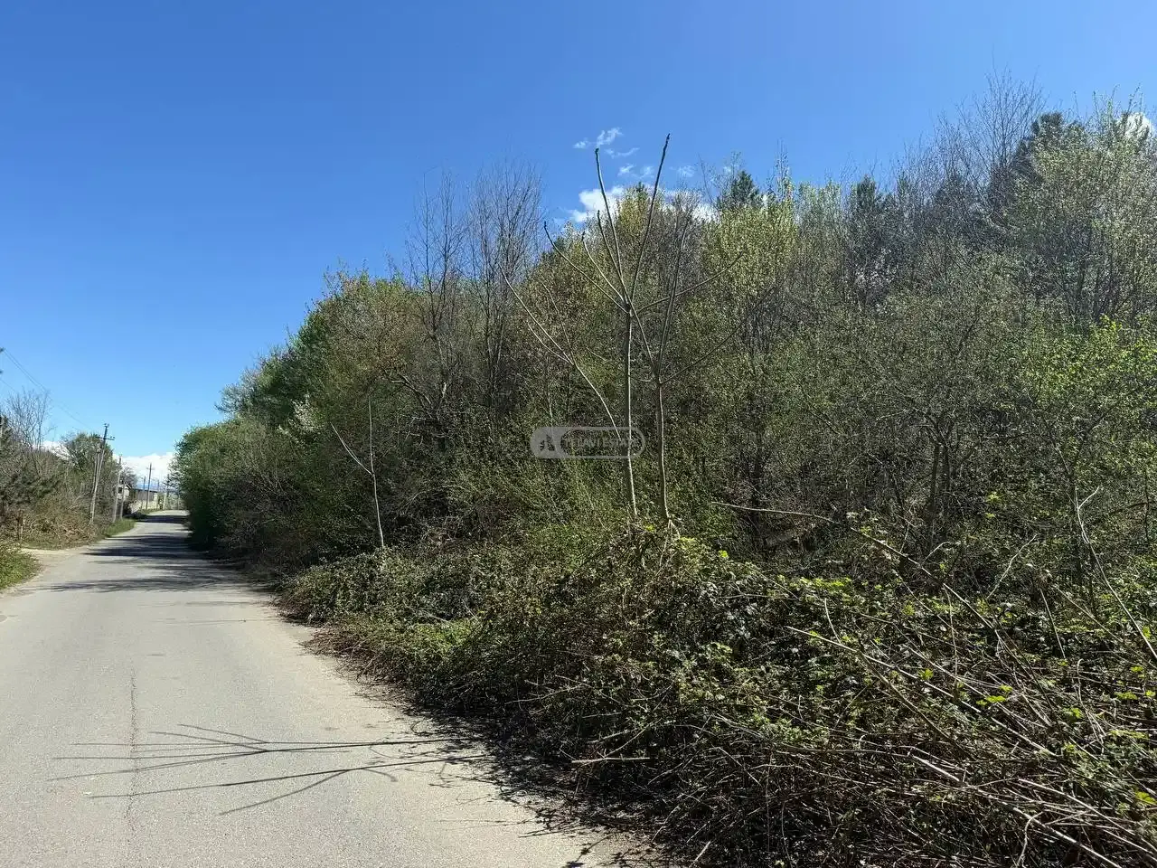 მიწის ნაკვეთი შალაურში