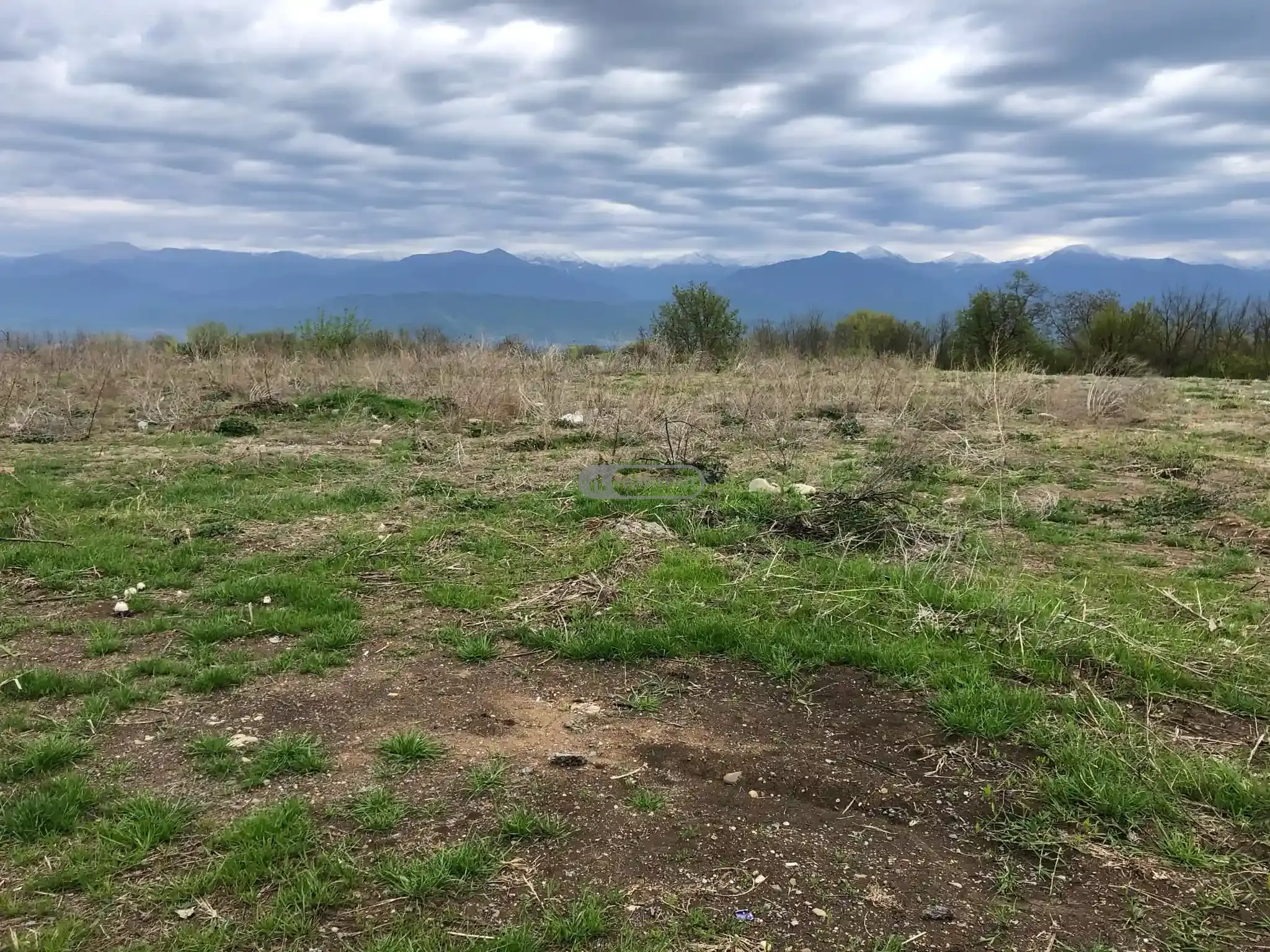 მიწის ნაკვეთი კისისხევში