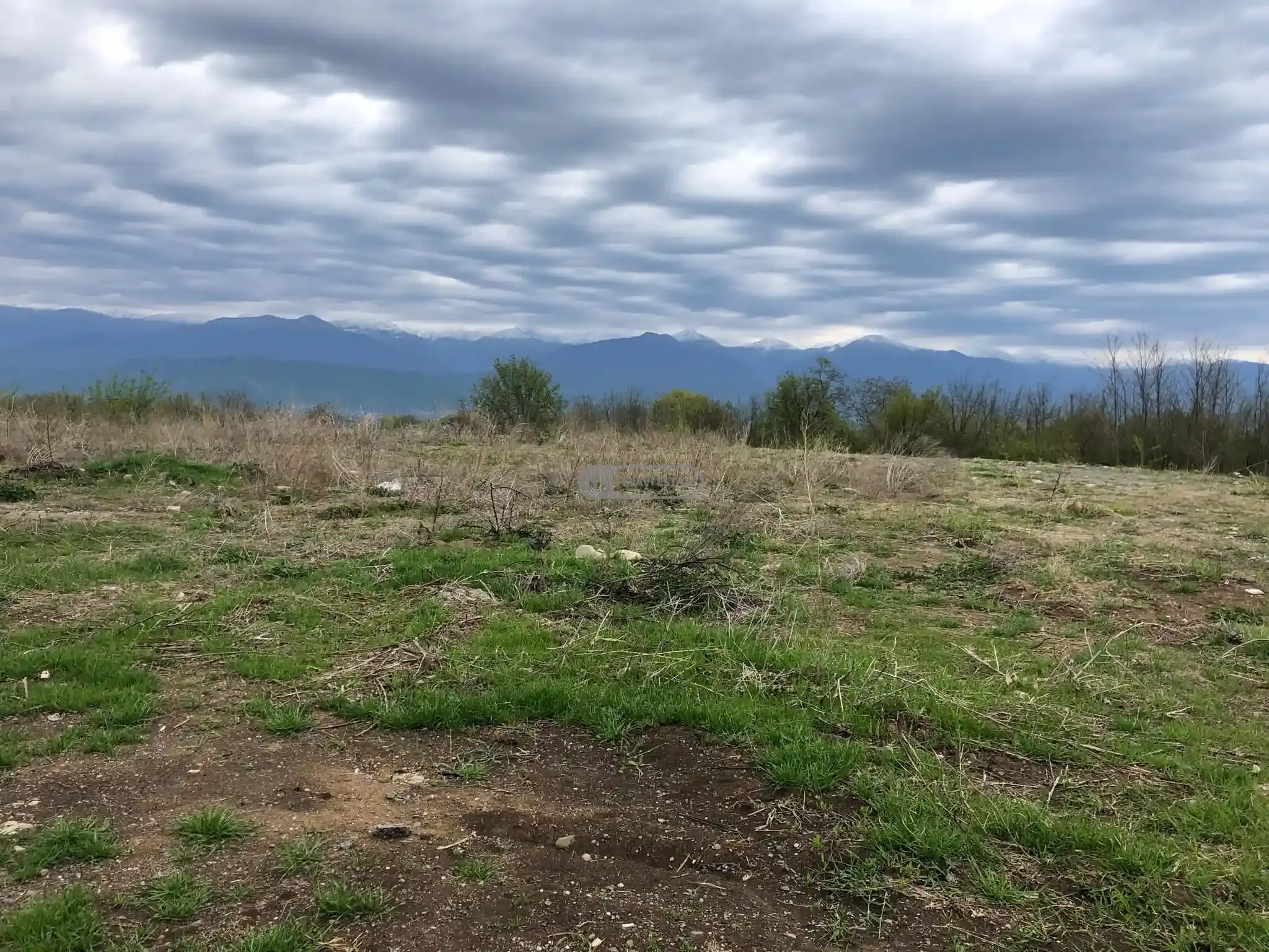 მიწის ნაკვეთი კისისხევში