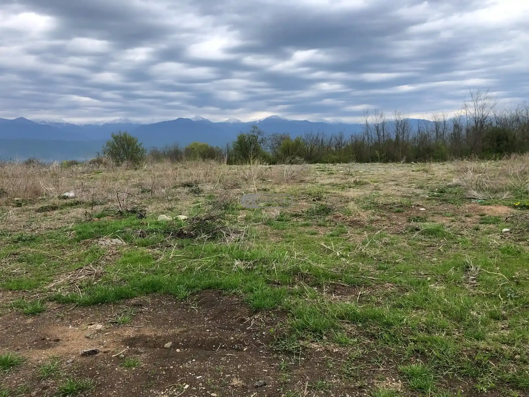 მიწის ნაკვეთი კისისხევში