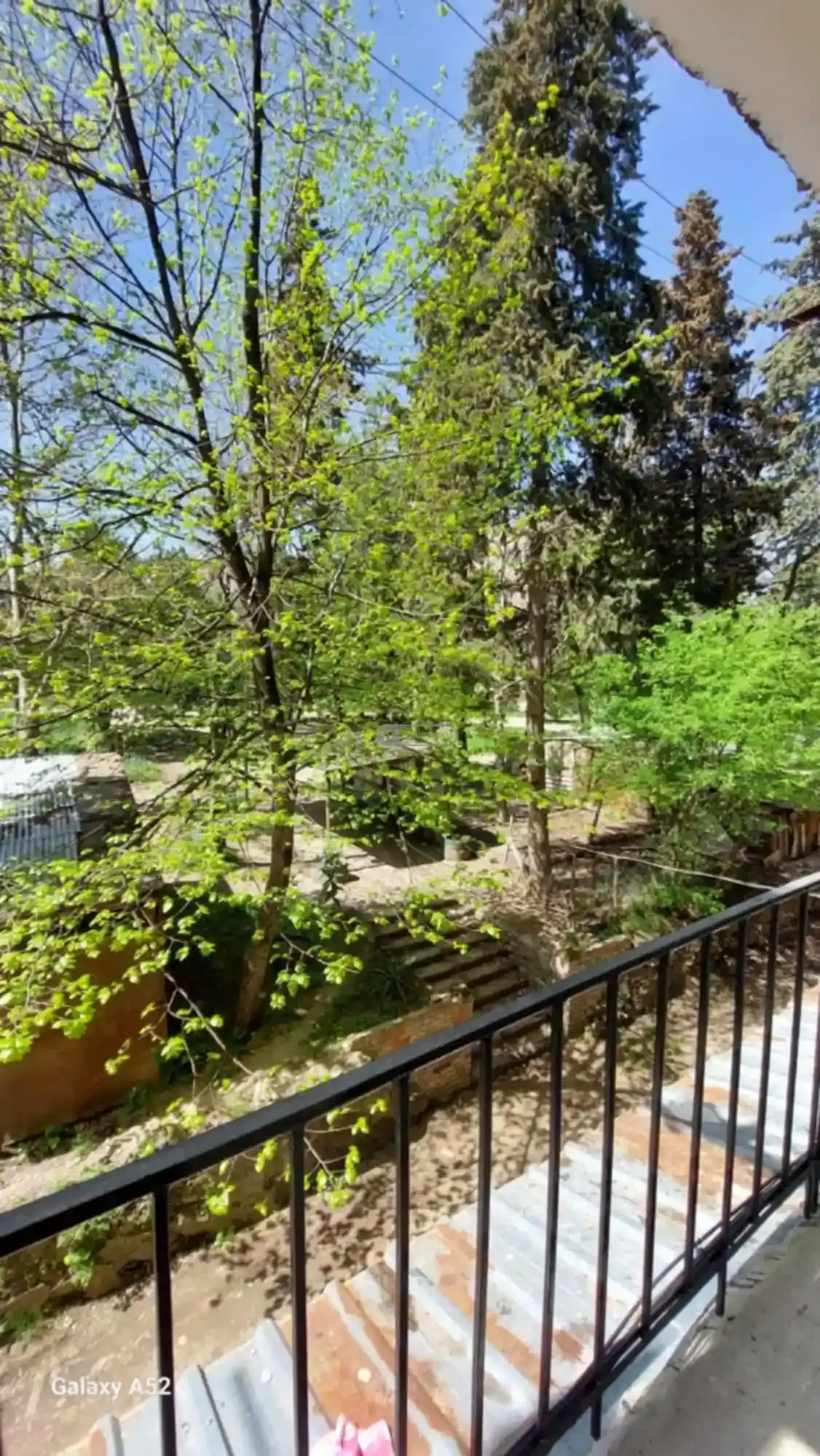 3 ოთახიანი ბინა თელავში