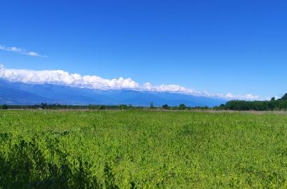 Land for Sale in Nasamkhrali