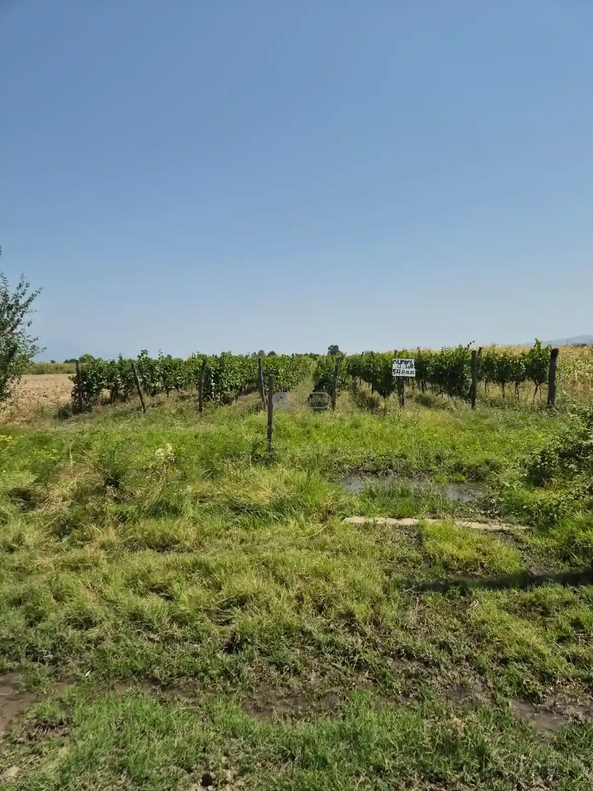 Продается земельный участок в селе Когото