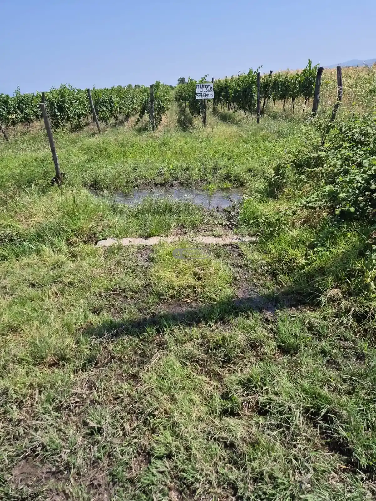 Продается земельный участок в селе Когото