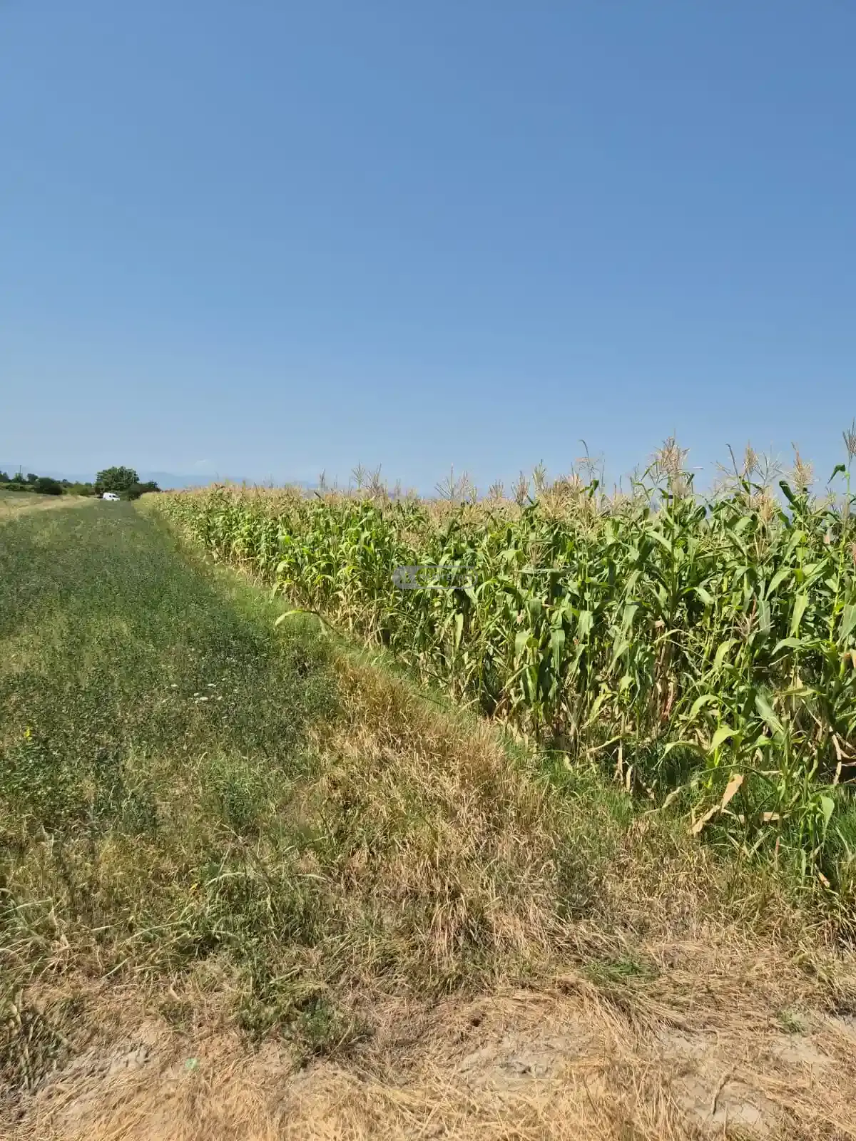 Продается земельный участок в селе Когото