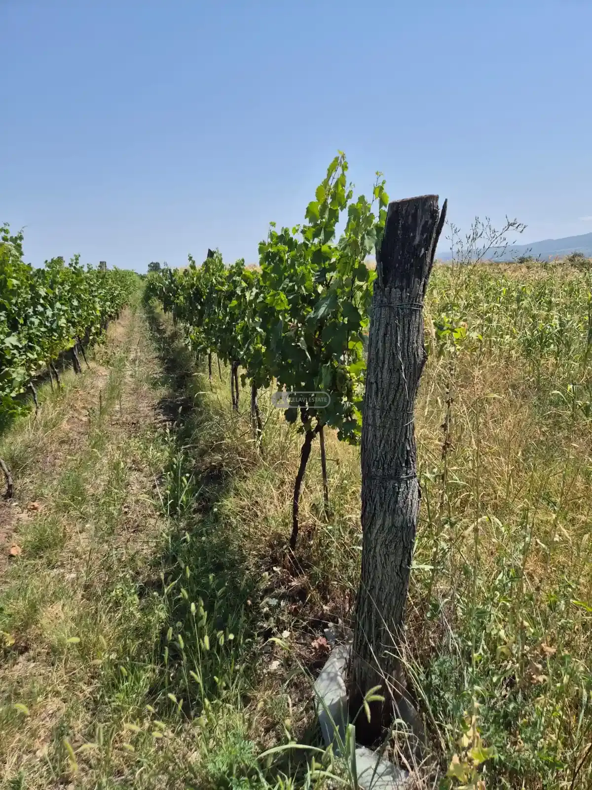 Продается земельный участок в селе Когото