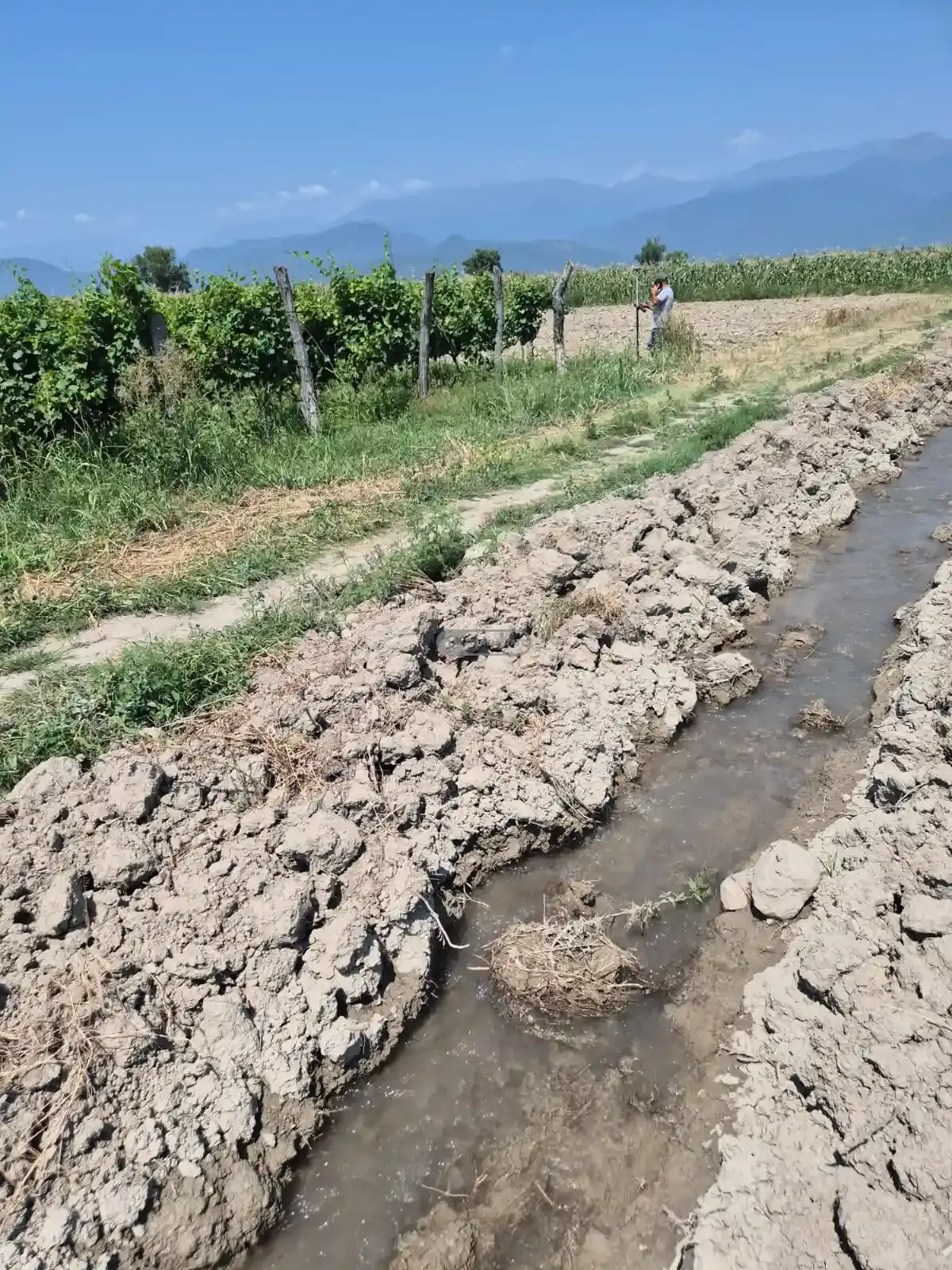 Продается земельный участок в селе Когото