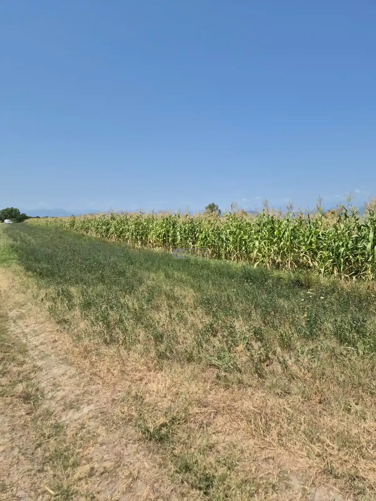 Продается земельный участок в селе Когото