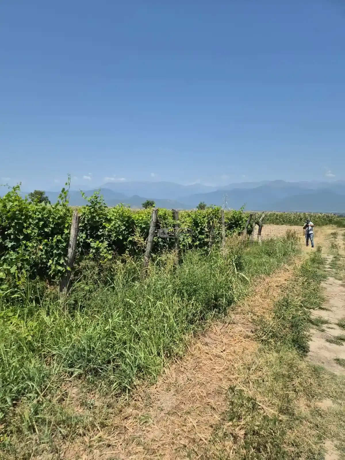 Продается земельный участок в селе Когото